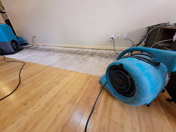 Professional Water Damage Repair technician working in Laurel, MD